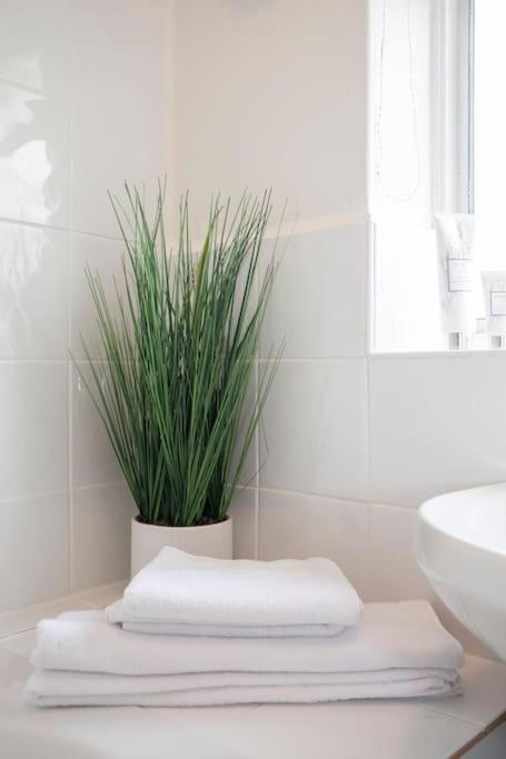 3 Bed House/Garden/Wi-Fi/Parking/Central Location Villa Guildford Bagian luar foto